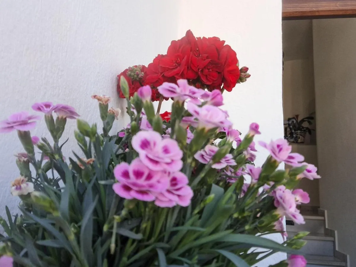 Apartamento La Viña Málaga España